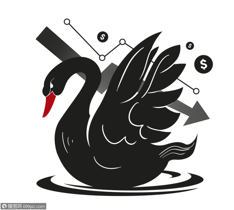 黑天鹅危机影响