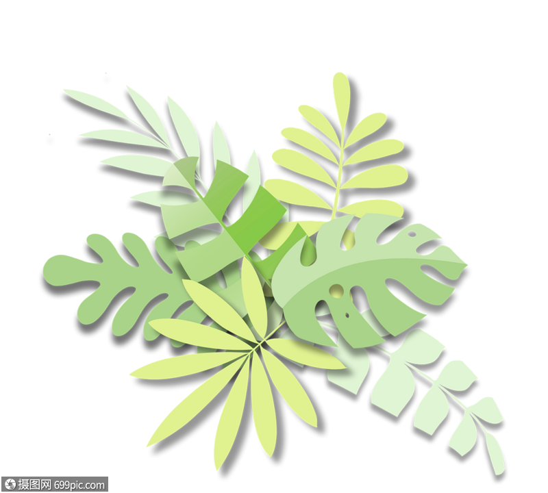 剪纸风格热带植物叶蒙斯特拉丛林