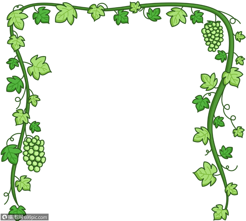 葡萄藤边框手绘绿色