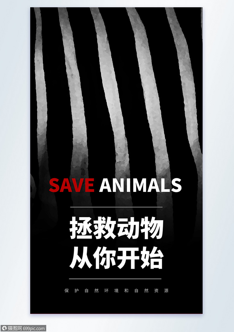 拯救动物从你开始物宣传摄影图海报