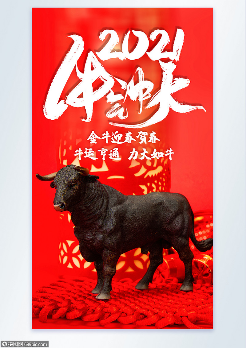 2021年牛气冲天摄影图海报
