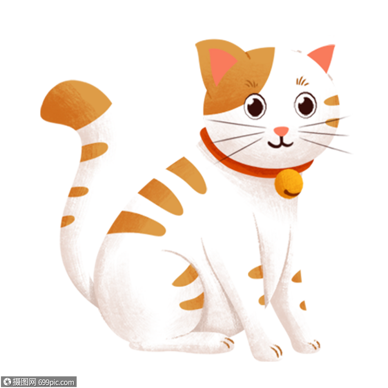 小猫猫咪小动物高清图片素材