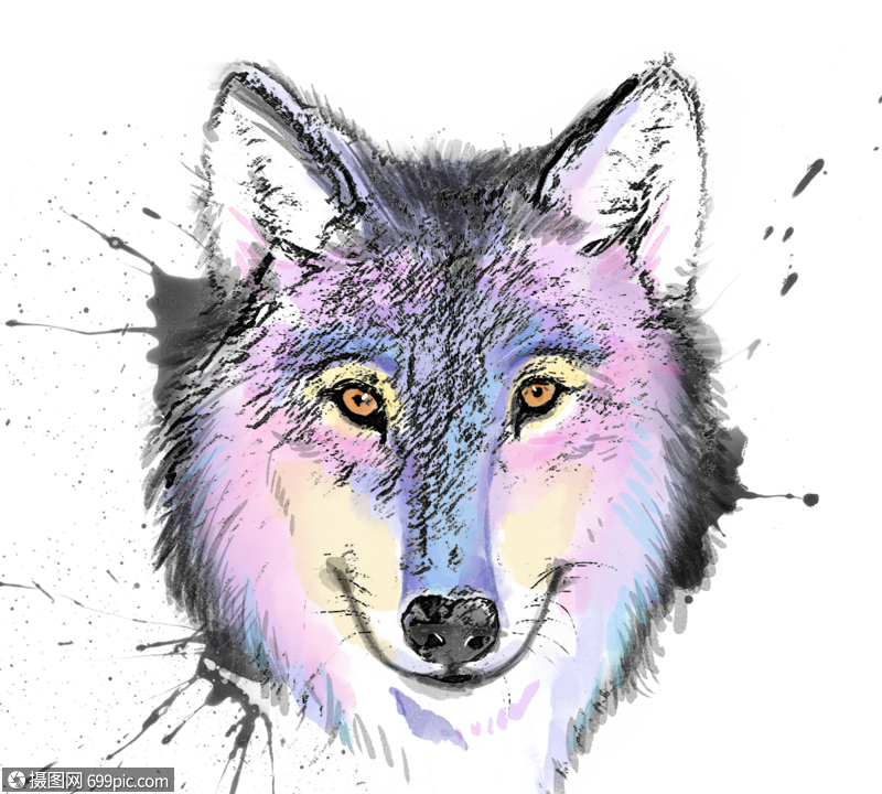 紫色狼头像手绘水彩素描元素