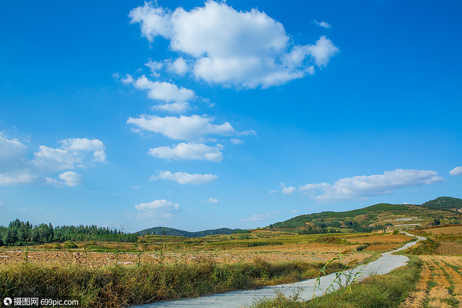 鄉村小路 鄉下小路 田野 秋收 小山村 田間小路 山間田野