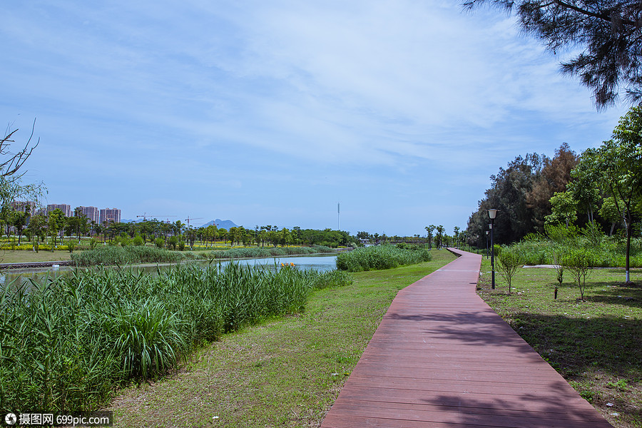 藍天白雲公園健身散步路風景健康自然