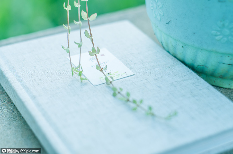 盆栽与本子书本意境