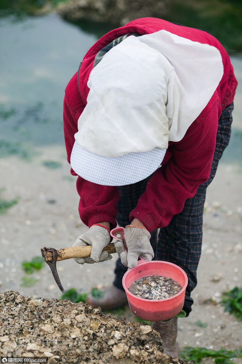 渔民在海边挖掘贝壳