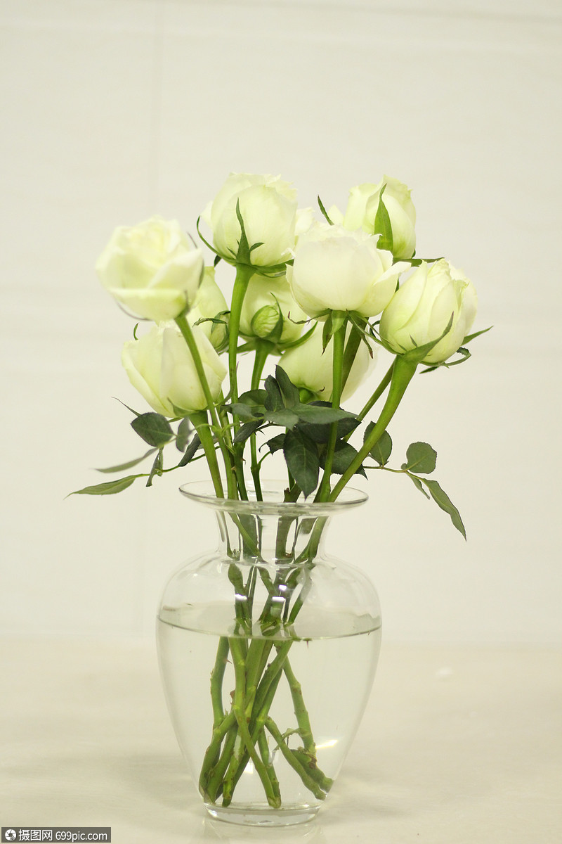 玫瑰花意境夏天高清图片素材