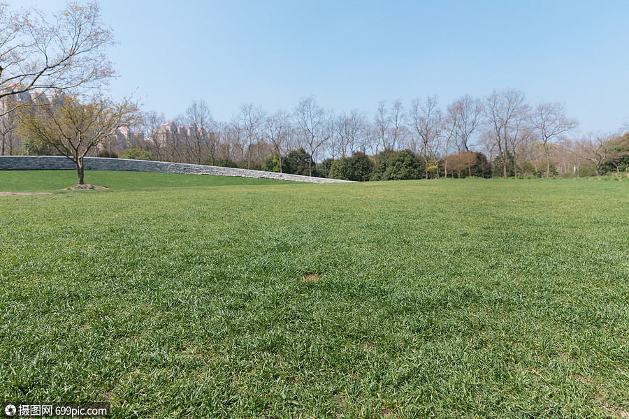 春天公园里的绿色草地绿地大草坪