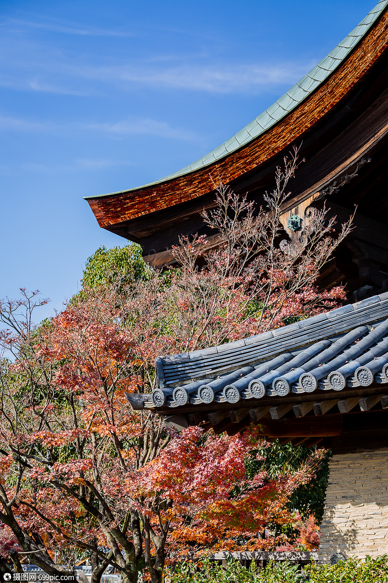 日本京都天龙寺风景
