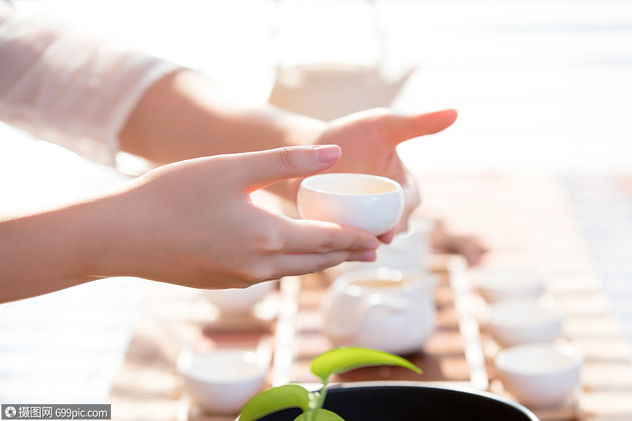 茶道美女端茶