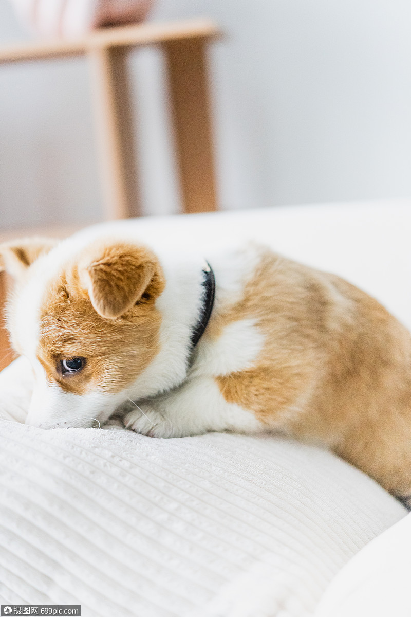 免费下载无水印高清大图