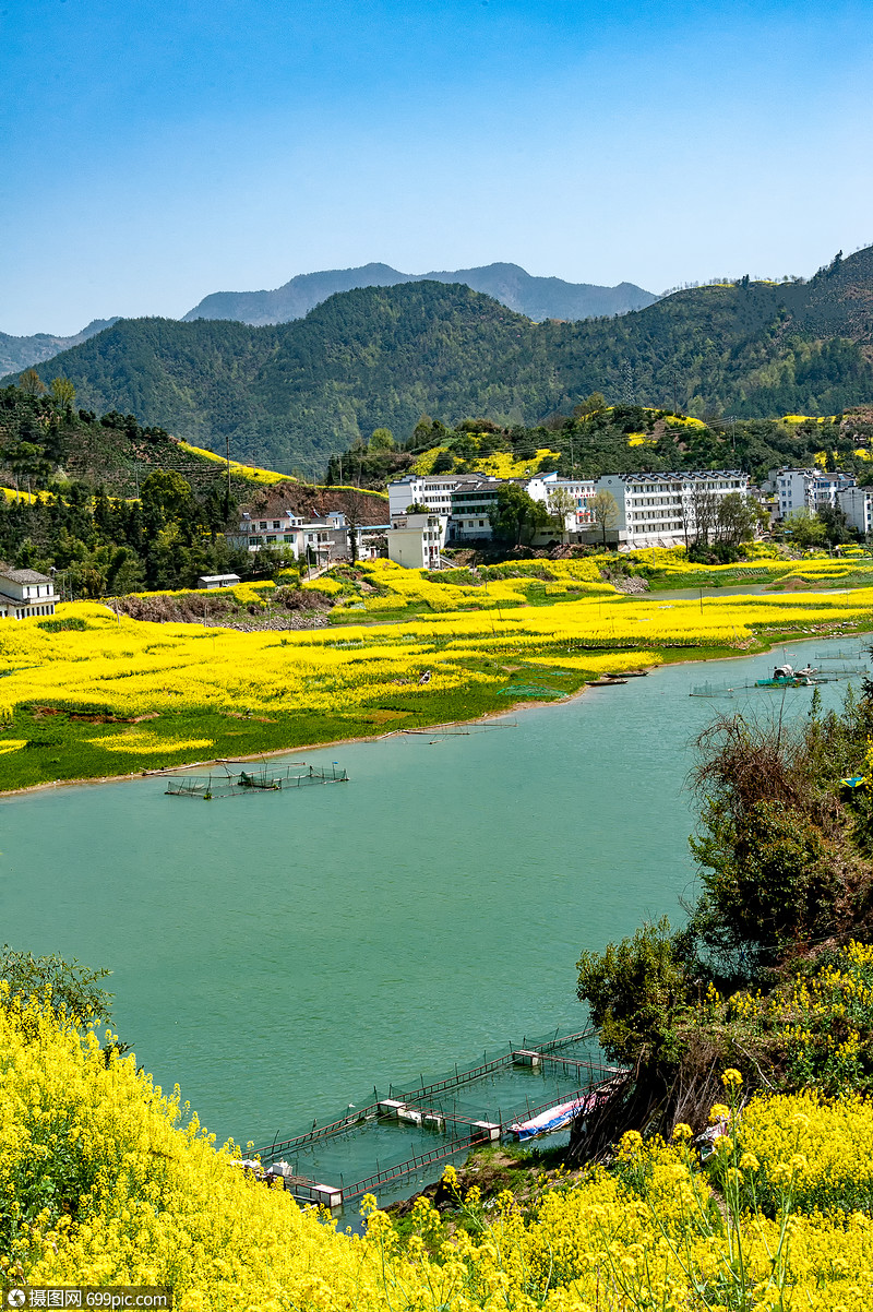 春天的古徽州新安江山水画廊万亩油菜花开