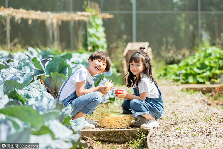 小朋友农场采摘
