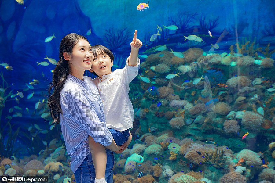 照片 人物情感 年轻母子参观海洋馆.jpg