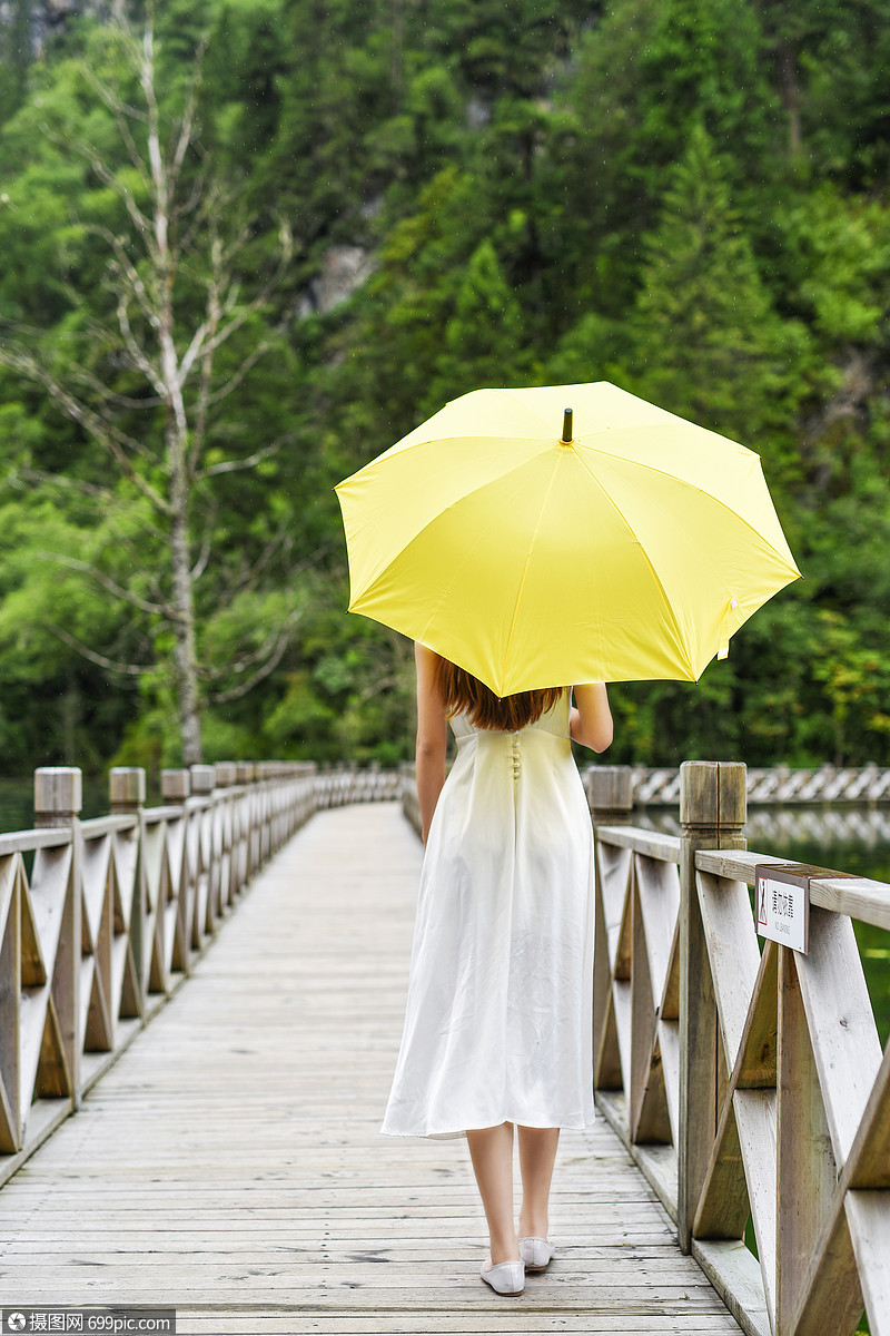 经历太多风雨是什么歌_人生风雨路下句是_风雨中是你的身影