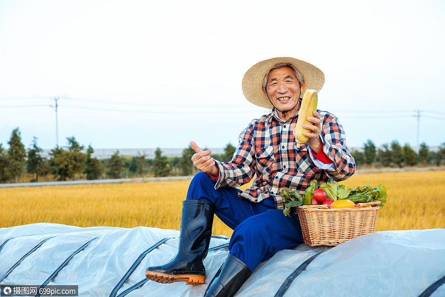 坐在麥垛上的豐收農民老伯