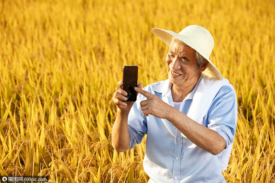 照片 职业形象 农民丰收农村电子商务.jpg