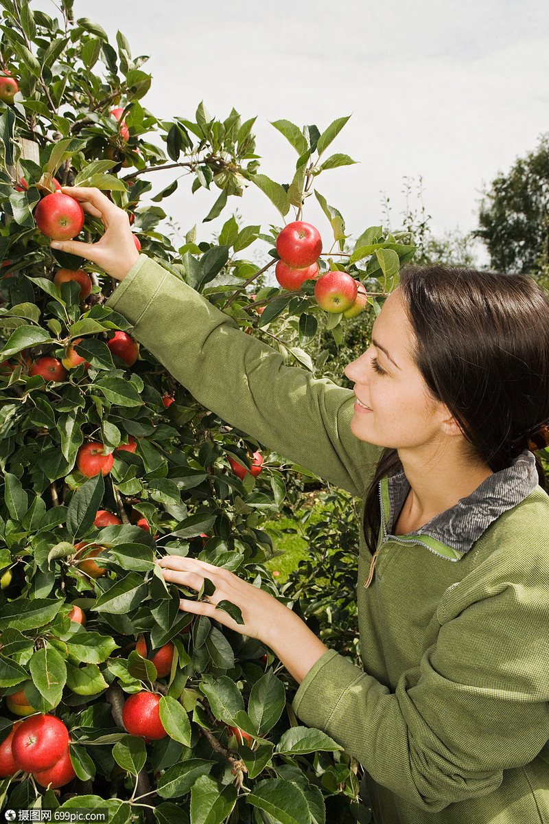 摘苹果的年轻女人