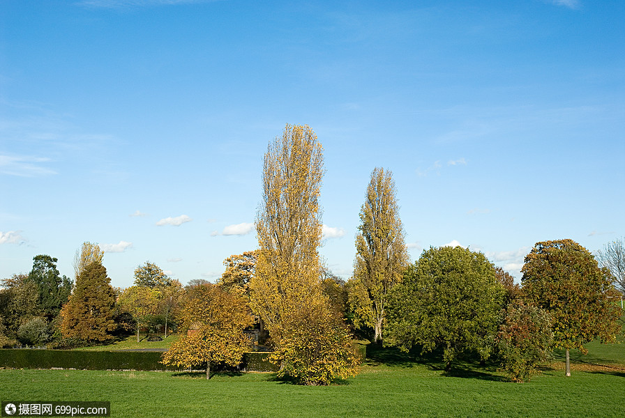 公园在户外树高清图片素材