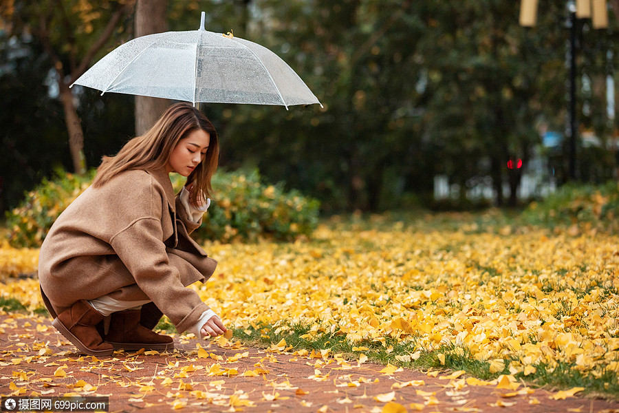 秋季雨天美女撑伞拾银杏叶女性人物