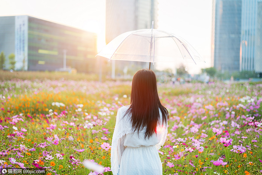 大片花海中的少女背影春天夕阳