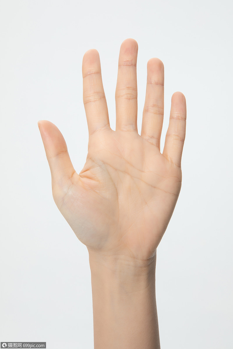 数字5特写手势手语手部数字五