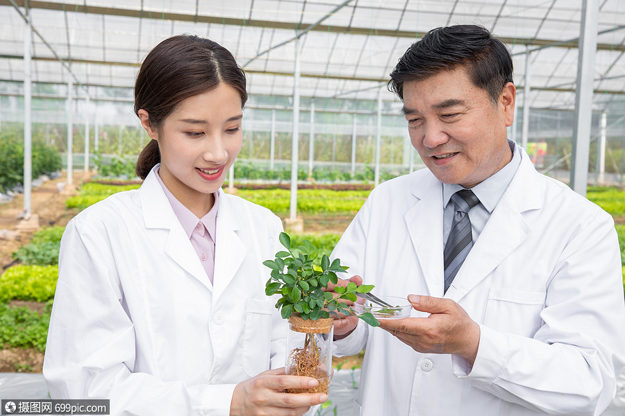 大棚內手捧植物幼苗的農業培育科學家