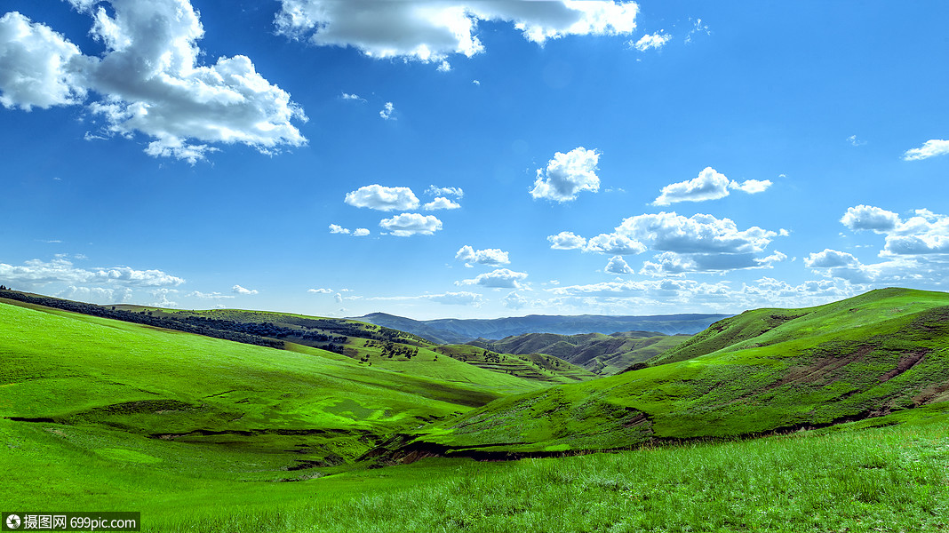 夏季内蒙古大草原景观绿草山