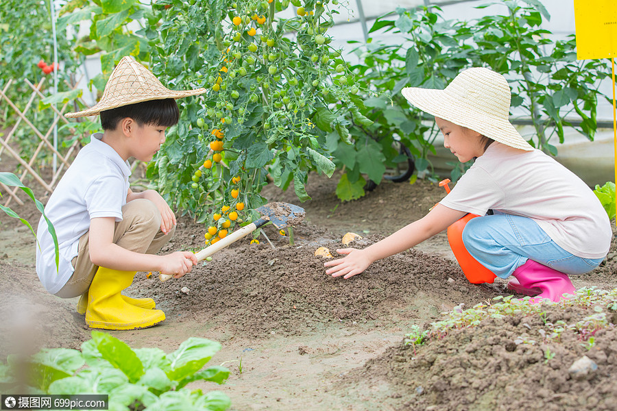 小朋友给种的蔬菜培土