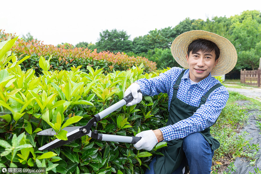 农场园丁修剪园艺植物