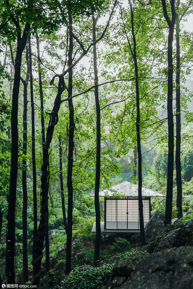 幽静林间的简约中式茶室